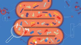 The Gut-Brain Axis: What Your Microbiome Has To Do With Brain Fog and Mood