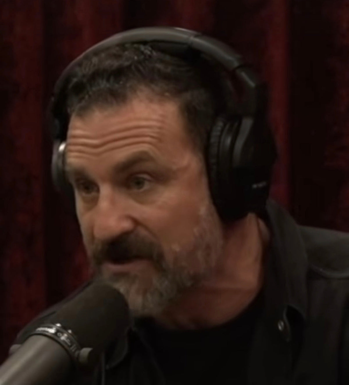 Andrew Huberman on the Joe Rogan experience podcast 