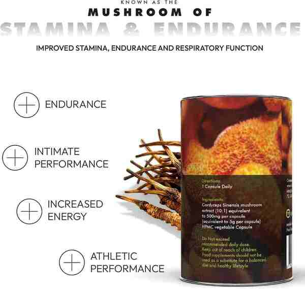 Cordyceps Sinensis | 60 Capsules | Buy in Ireland