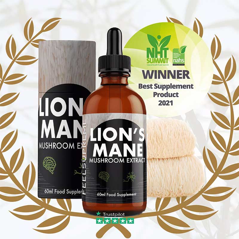 Lion's Mane Mushroom Extract