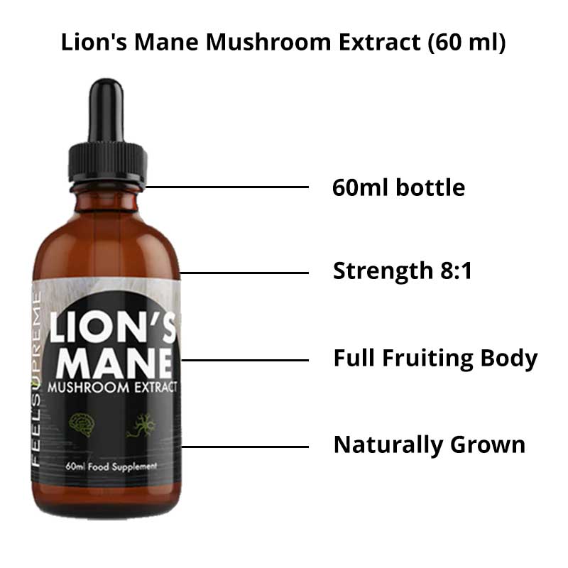 Lion's Mane Mushroom Extract