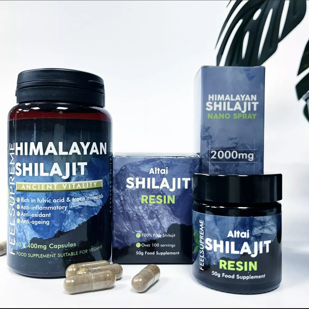 altai shilajit resin 50g