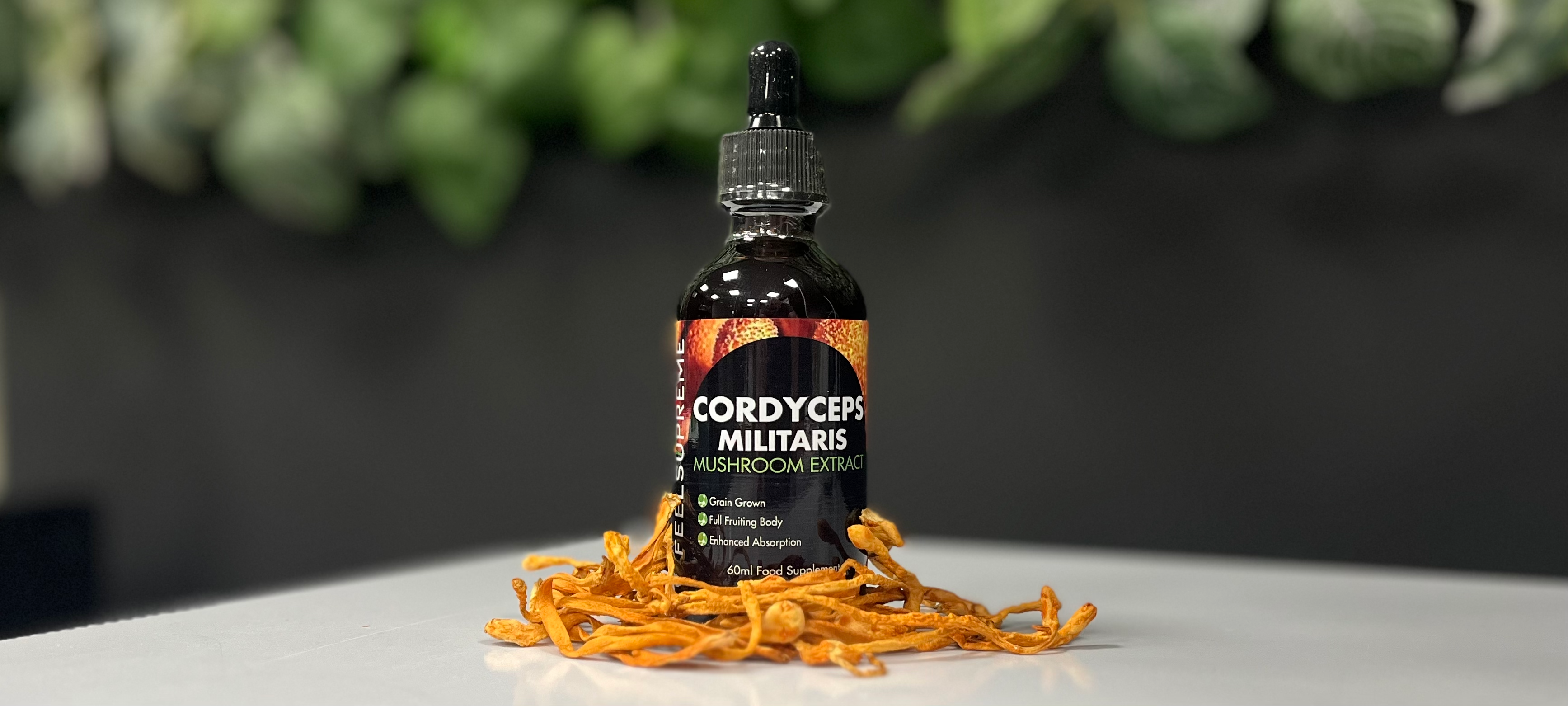 Cordyceps Militaris Mushroom Liquid – 60ml